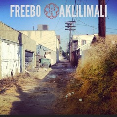 Freebo Akilimali (Feat. Donnie Waters & Skitz) The Break Down (prod by NK-OK)