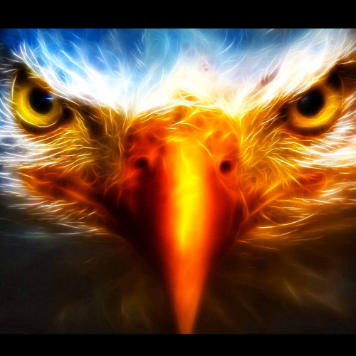 Eagle eye free download for android phone Eagle eye free download for android phone