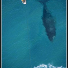 وعدتك .. ماجده الرومى