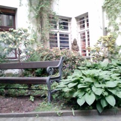 Neighbor inc. - Backyard  nr.2.