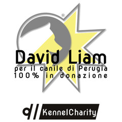 il sabato da Bray Steve Alan - Perugia