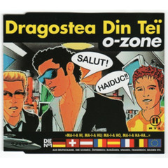 O-zone - Dragostea Din Tei 2013 (Summer Remix 2013)