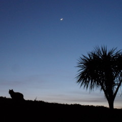 I LIKE THE WAY ft FKR boys Hannibal Selecter & LUDO