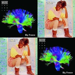Muse vs Whitney Houston - Big freeze, i know! (Bastard Bob mashup)