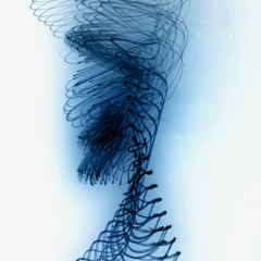 Creative-Chaos-Harmony