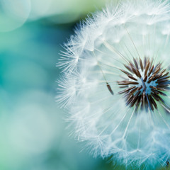 fEEling #2 (jinnyjo)