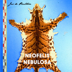 Neofelis Nebulosa