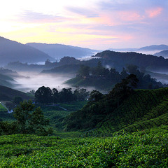 background noise for intense YouTube video talk