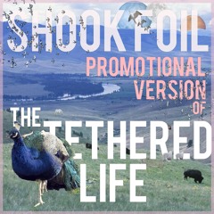 02 Some Heavy Weight