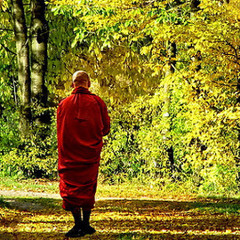 A Monk Returns Home