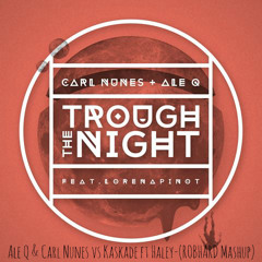 Ale Q & Carl Nunes vs Kaskade ft Haley-Through the Night (Robhard Mashup)