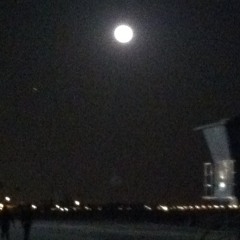 The 15th (Wire cover)