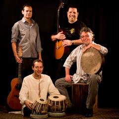 Zanzibar - Vento Bravo