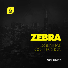 Trance Presets - Zebra