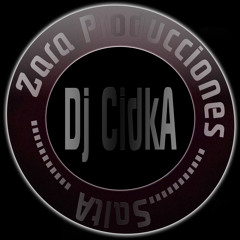 Mix mayo 2013 dj cidka & dj alejandro praredes