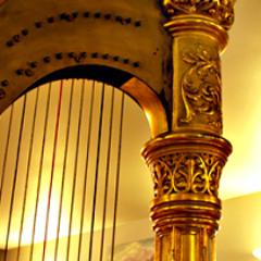 Harp Demo Assortment