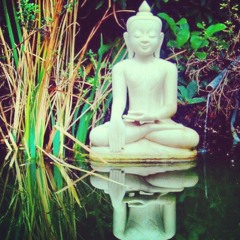 The Magnetic Fields- You Must Be Out of Your Mind (cover)