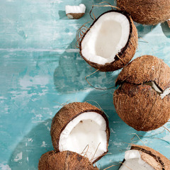 C O C O N U T S [Sloppy Friday Mix]