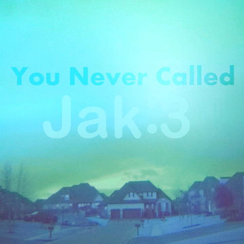 You Never Called