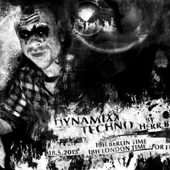 Herr Bert - DYNAMIXX TECHNO #12 (for fnoob) 18.05.2013