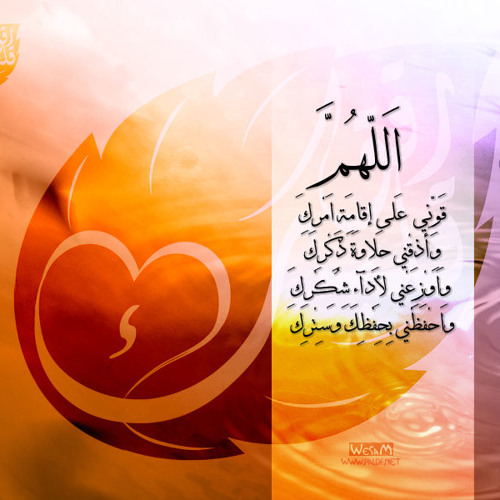 كيف ترق قلوبنا ؟..الشيخ محمد مختار الشنقيطي