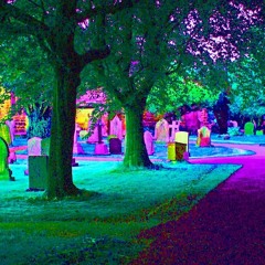 Chris Travis - Live Slow (digitally zonked by prekrati)