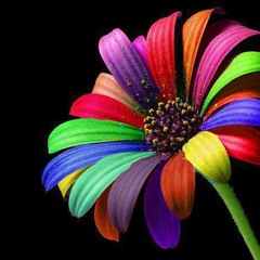 Niels Van Gogh - Pulverturm 2012 ( Update Club Mix )