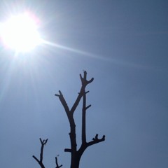 brandi carlile - hiding my heart