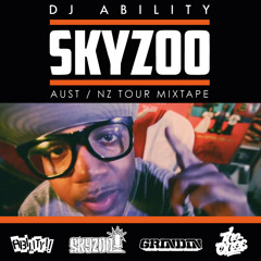 Skyzoo TourTape 2013 dj ability