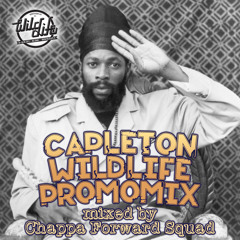 CAPLETON WILDLIFE PROMO MIX - Mixed By Chappa (Forward Squad)