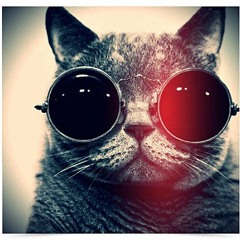 Accident In Paradise - Don't Be Late