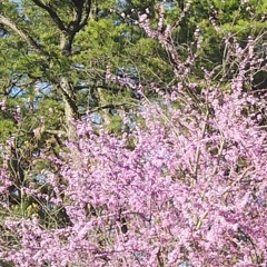 PRACTICE!102¡ *Cinderella Slipped* 4ALL MY LADIIES , NJ N BEYOND. Love it For A full version.10000<3 at La Casa Vieja