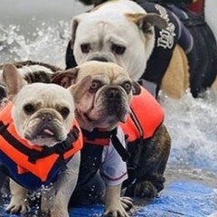 Lunar - Both the Horizon and the Sea