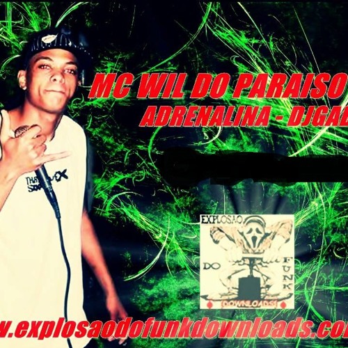 Mc wil do paraiso - adrenalina vai a mil  ♪   - djgabriel