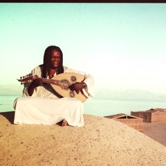 السودان: المكحل بالشطة