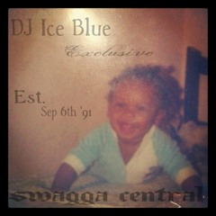 Drive slow(prod by dj iceblue)