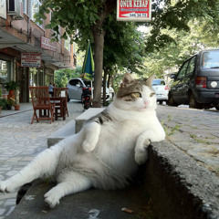 _Chill_