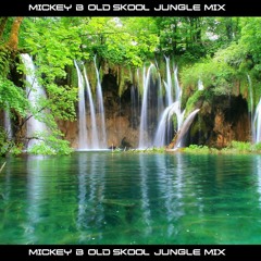 Mickey Beam - Old Skool Jungle Mix