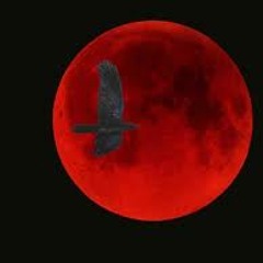 Full Rose Moon (2005)