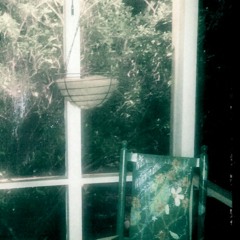 Frogs In A North Carolina Rainstorm