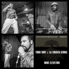Third Root x DJ Chicken George "History"