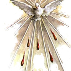 Ven ven ven Espíritu Divino