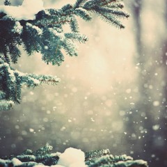 Pines - Any Other Name (Thomas Newman Cover)
