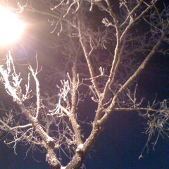 End of a new begining