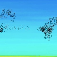 Little Fighters: One Foot In Front Of The Other