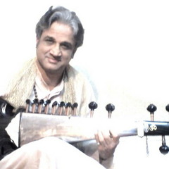 Pt. Shekhar Borkar - Raga Shivaranjani - On the Surtarang
