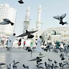 ياإلاهنا..ماهر المعيقلي