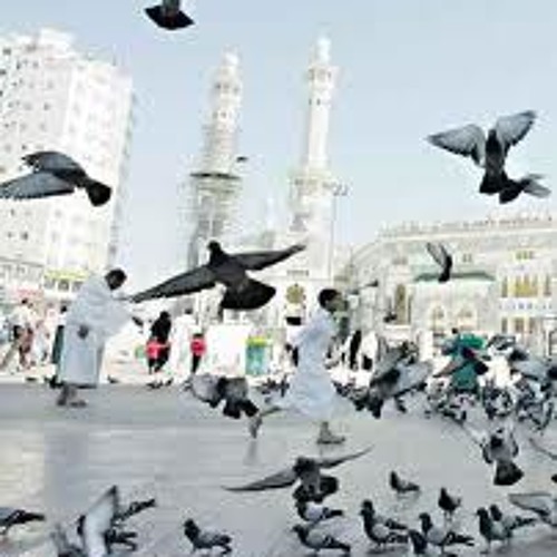 ياإلاهنا..ماهر المعيقلي