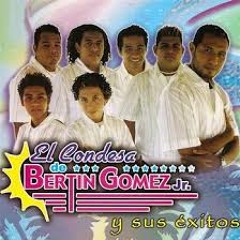EL CONDESA DE BERTIN GOMEZ MIX DJ GUERRERO EL LOCO DE LOS SONIDOS