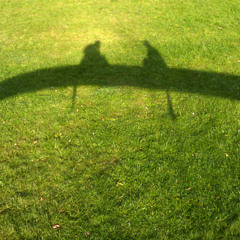 Outside...and sun